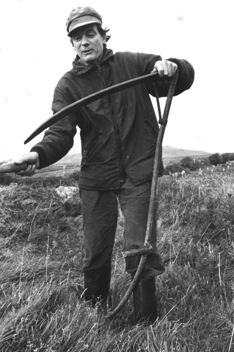 Photograph: Tom Lawlor