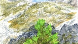 Ireland’s habitat survey lays the groundwork for better conservation