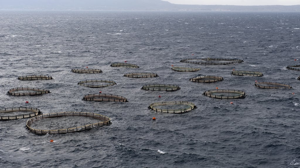 The case arose after AIB extended a loan to the company which, it argued, was secured on certain lands. Photograph: iStock