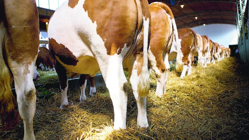 Bank of Ireland’s agri-sector loan approvals in the first half of 2014 have increased by 16 per cent compared with the same period last year.