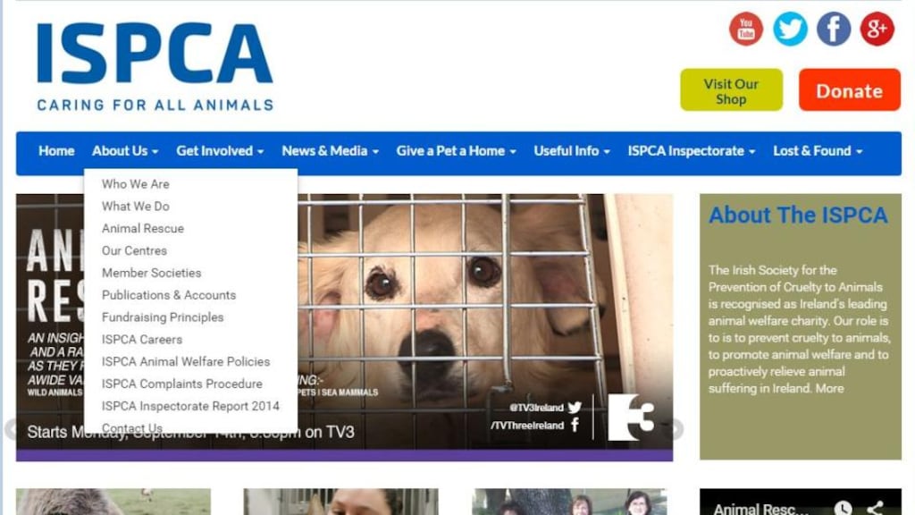 Letterkenny District Court heard how ISPCA inspectors went to Natalie McGranaghan’s rented flat at Leitir Ard, Letterkenny after hearing reports a dog had been abandoned there. Photograph: ISPCA website