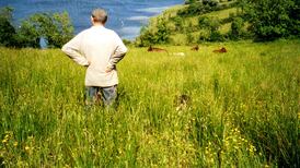 John McGahern. Ways of Looking: strategies brought into focus