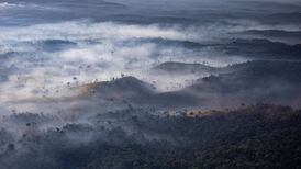 Will the world wake up from sleepwalking to extinction?