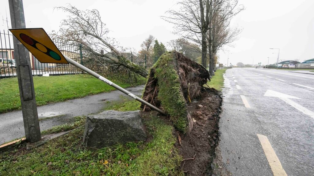 Trees down near Dungarvan, Co Waterford. Photograph: Patrick Browne