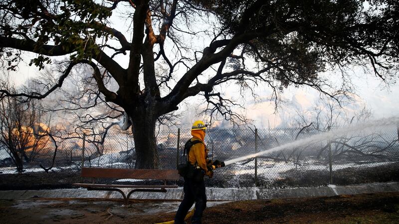 A firefighter battles the Peak Fire in Simi Valley, California. Photograph: Eric Thayer/Reuters