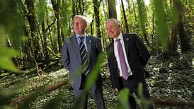More than half a million trees to be planted on former boglands