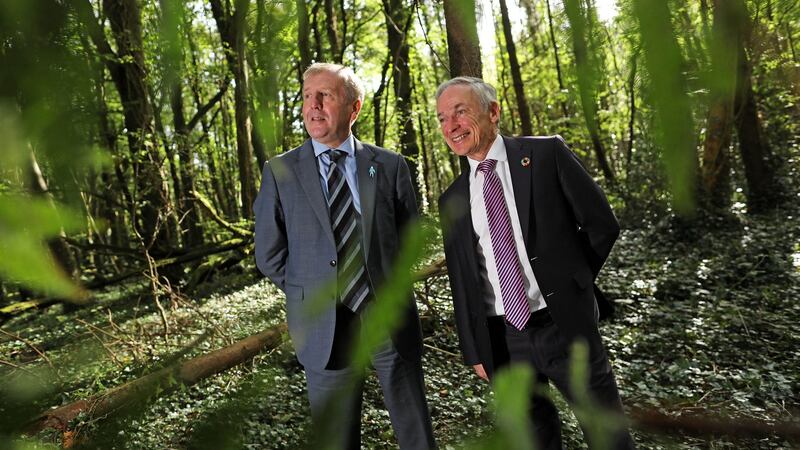 More than half a million trees to be planted on former boglands