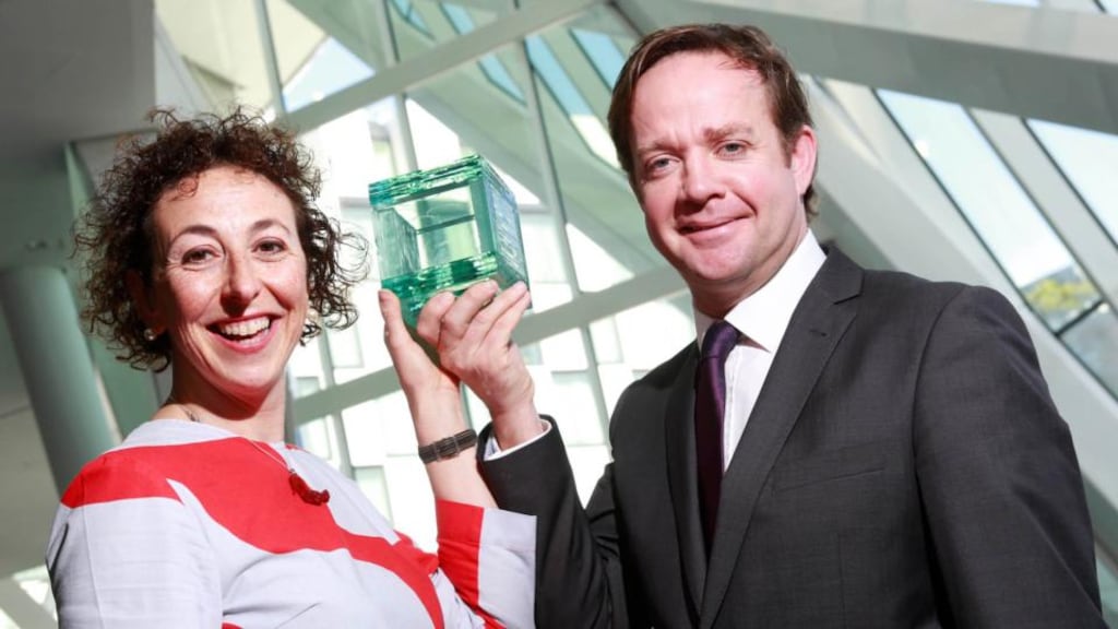 IAPI chief executive Tania Banotti and TV3’s commercial director Pat Kiely pose with an ADFX award, the work of Andy Sharkey, a glass design student at the National College of Art and Design. photograph: conor healy