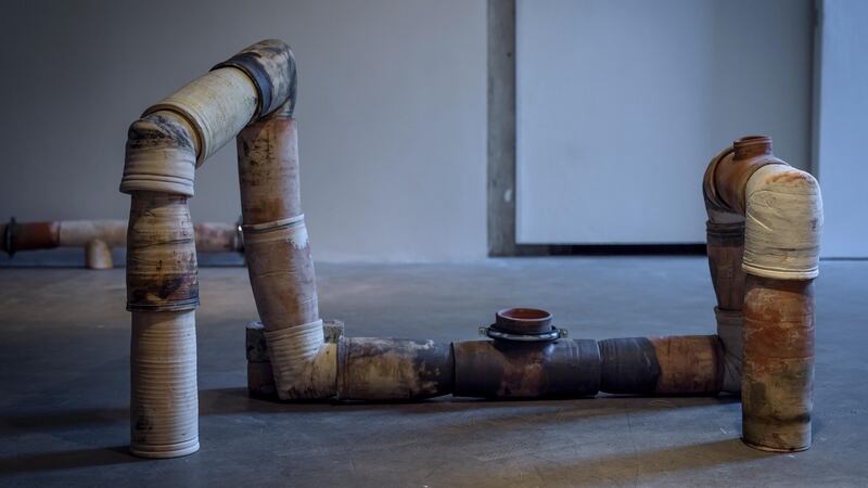 Jumana Manna, Wild Relatives (2018) installation view. Courtesy of the artist and the Douglas Hyde Gallery, 2019. Photograph: Louis Haugh