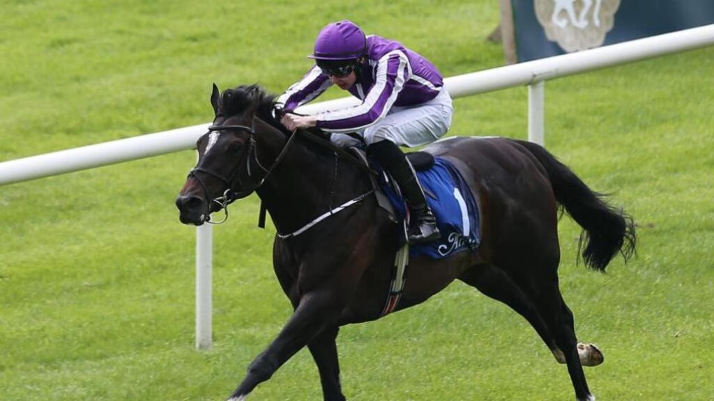 nAdelaide, above, will be in action in the Cox Plate in Melbourne. Photograph: Lorraine O’Sullivan