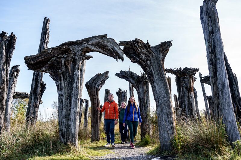 Lough Boora Discovery Park, Tullamore, Co Offaly. Photograph: Nomos Productions/Courtesy Failte Ireland