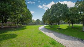 Man (49) jailed for raping sleeping woman in public park