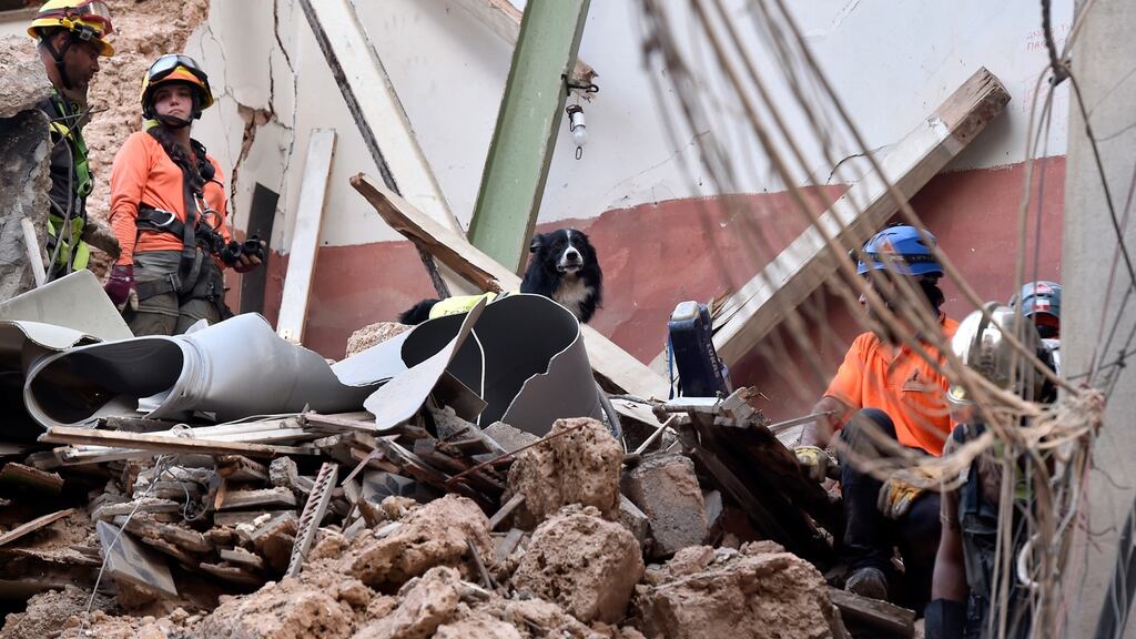 Chilean dog Fletch leads rescue workers in a search after a scanner detected that there might be a survivor under the rubble at Mar Mikhael area in Beirut, Lebanon. Photograph: Wael Hamzeh/EPA