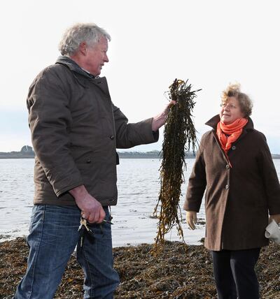 Kelp harvester John Bhaba Jeaic Ó Conghaile and Dr Rebecca Metzner, chief of the Fisheries and Aquaculture Department at the United Nations Food and Agriculture Organisation, at Rinville, Oranmore, Co Galway, in 2016. Photograph: Joe O’Shaughnessy
