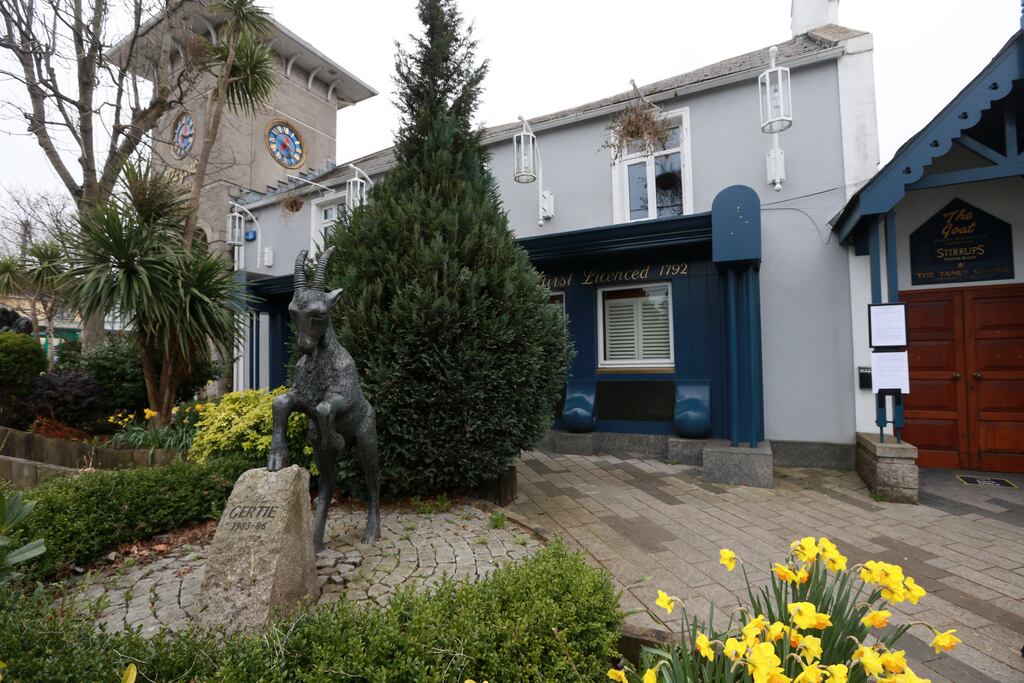 The Goat Bar and Grill in Goatstown. Photograph: Laura Hutton