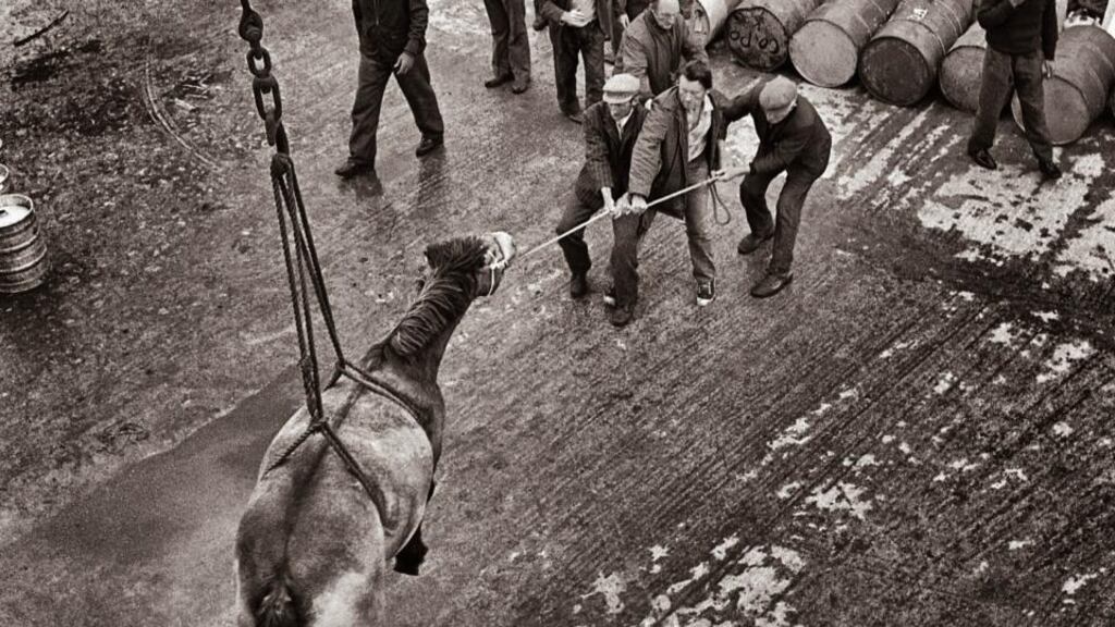 A horse being lowered from the ferry on to Kilronan pier in the early 1970s. Photograph: John Carlos