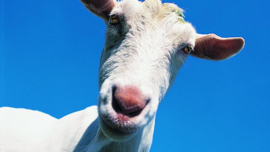 Photograph: Thinkstock