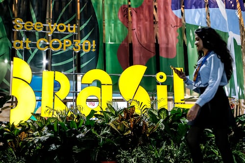 ‘The system is collapsing’: Climate campaigners under threat as crucial UN conference looms