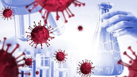 Covid-19: Information vacuum persists in wake of cyberattack