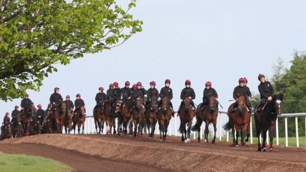 Horses at Ballydoyle. Photograph: Irish Times