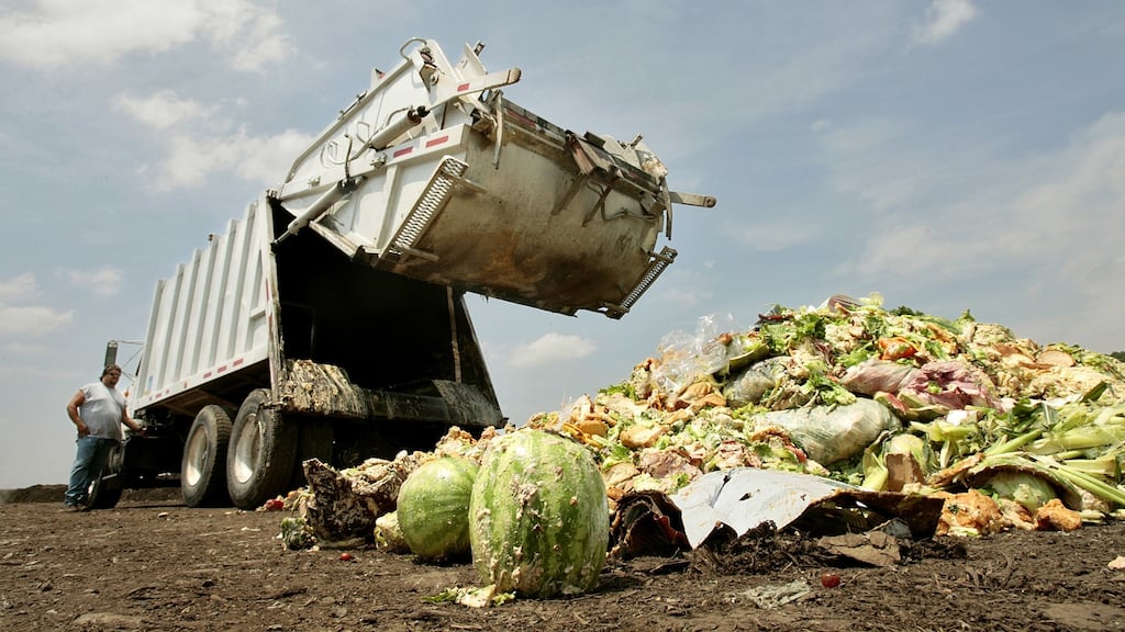 About 40 per cent of all the food produced in the US is never eaten. Photograph: Jill Toyoshiba via Getty Images