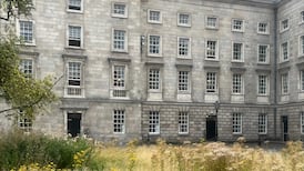 A daisy with a doctorate? Frank McNally on the enrolment of ragwort in a rewilded Trinity