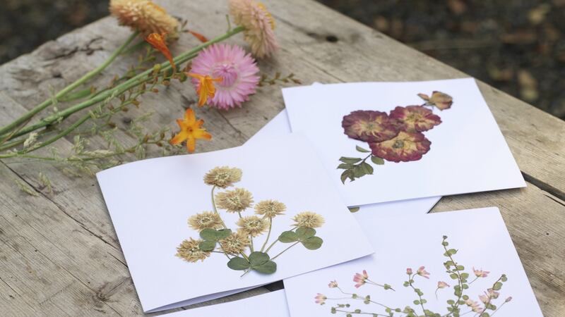 Margaret Dineen’s An Dulra Irish wildflower cards. Photograph: Richard Johnston