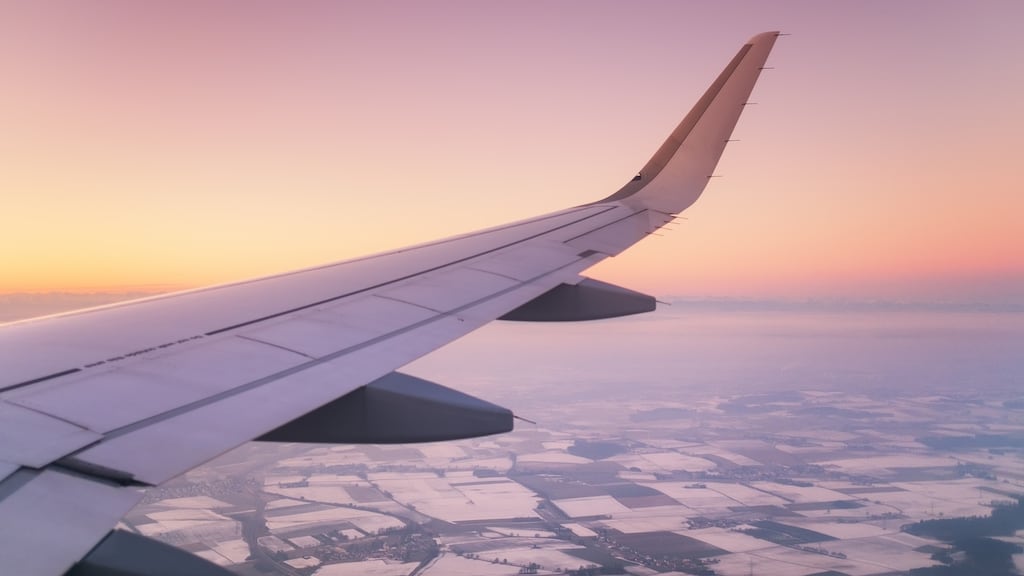 Despite the widespread and prolonged groundings caused by the pandemic, the survival rate of the airline industry has been higher than initially expected