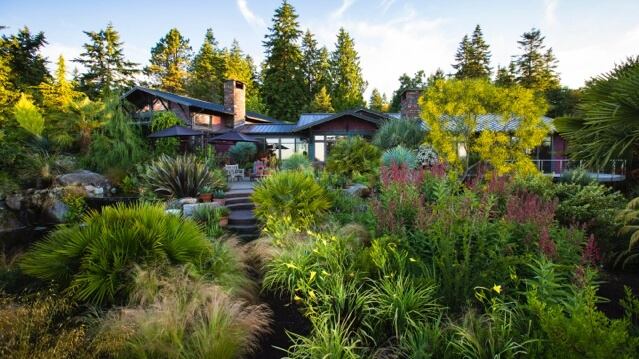 Front Garden Meadow at Windcliff, by Dan Hinkley. Photograph: Claire Takacs