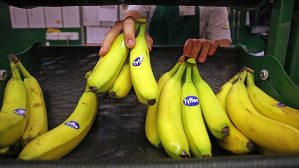 Gervais Williams stock-picked Fyffes and DCC as his favourites in Ireland. Photograph: Bloomberg