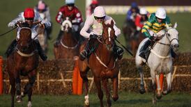Willie Mullins to justify punters’ Cheltenham trust again