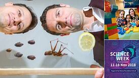 All you need to know about the where and when of Science Week