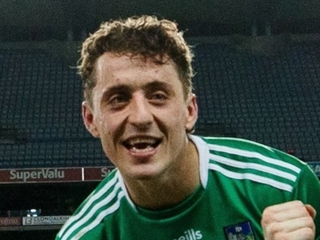 The court heard a jail sentence would be 'life-altering' for Limerick’s Pat Ryan because of his role in the county's hurling team. Photograph: James Crombie/Inpho