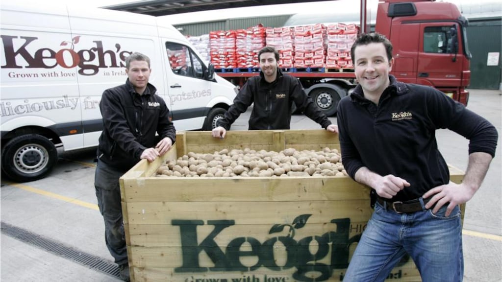 Derek, Ross and Tom Keogh at their farm in Oldtown, Co Dublin. Photograph: Dara Mac Dónaill