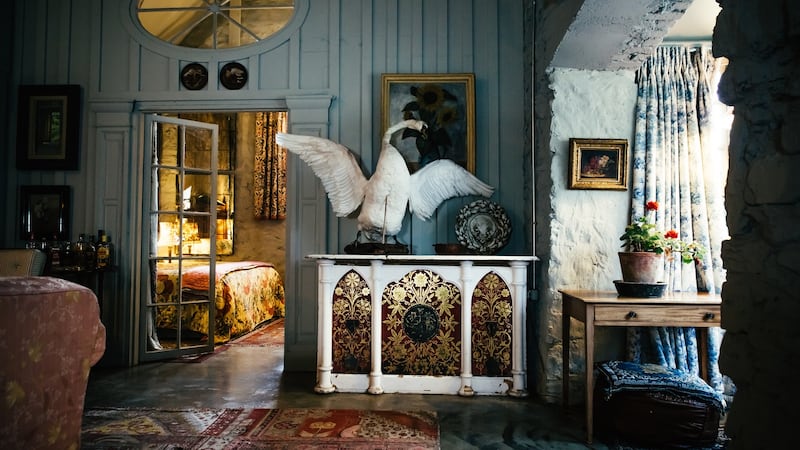 A swan that once swam on Galway’s Claddagh has been immortalised by a local taxidermist.