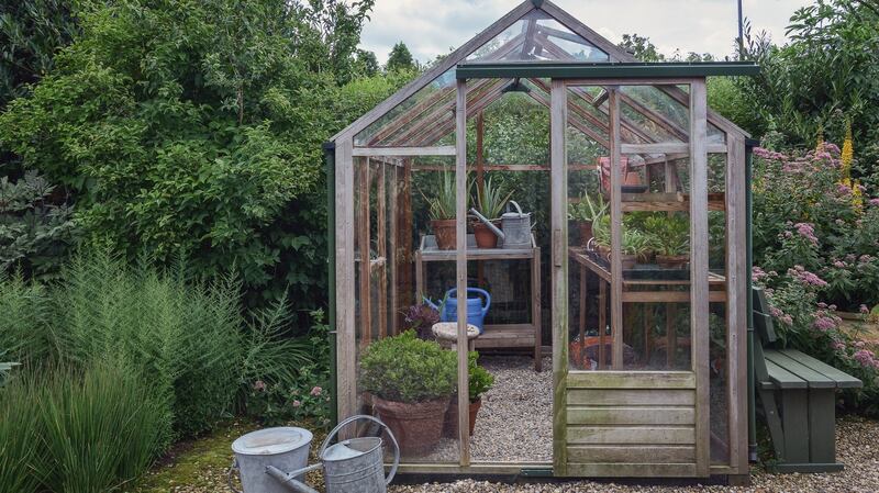 Secure your glasshouse against the threat of storm damage by closing vents, doors and windows. Photograph: iStock
