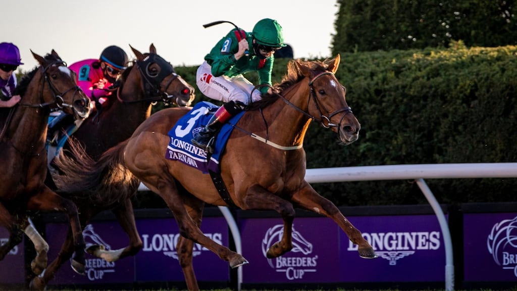Tarnawa, ridden by Christophe Soumillon, crosses the finish line to win the Breeders Cup Turf at Keenland last November  in Lexington, Kentucky. Photograph:  Bobby Ellis/Getty Images