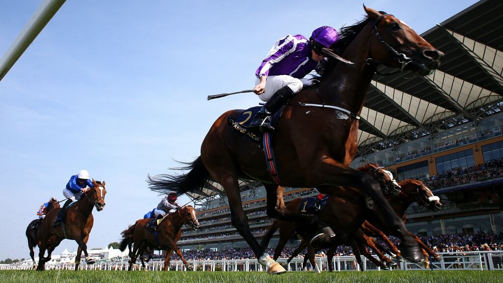 Ryan Moore rides Highland Reel (purple) to win The Prince of Wales’s Stakes during day tw of Royal Ascot. Photo: Charlie Crowhurst/Getty Images for Ascot Racecourse