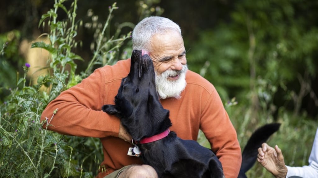In the Republic, the average age at prostate cancer diagnosis fell from 74 in the mid-90s to 67 years between 2012 and 2014. Photograph: iStock