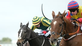 Gavin Cromwell goes to Carlisle before targeting Cheltenham later this week