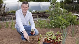 New GIY book takes the mystery out of growing vegetables