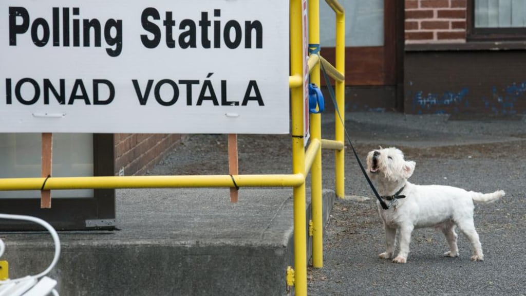A dog waiting outside a polling station on Friday while his owner casts his vote. Photograph: Dave Meehan