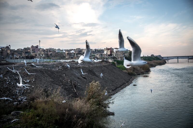 Birds fly across the Tigris river, which separates west and east Mosul