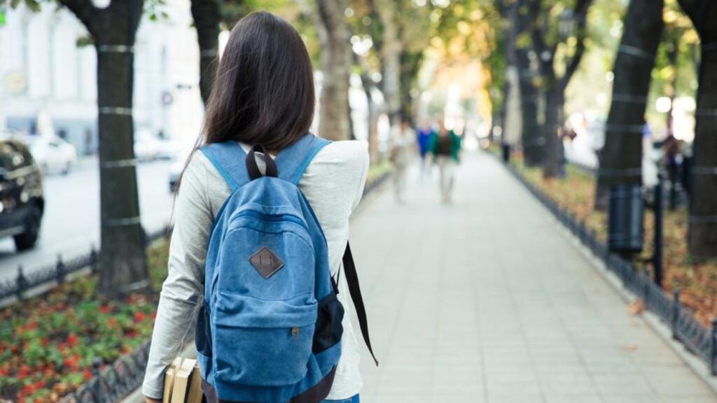 Fees for international non-EU students are expensive, though still cheaper than in several other jurisdictions. Photo: iStock