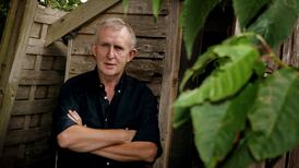 Hearing Voices, Seeing Things by William Wall review: unsettling fictions