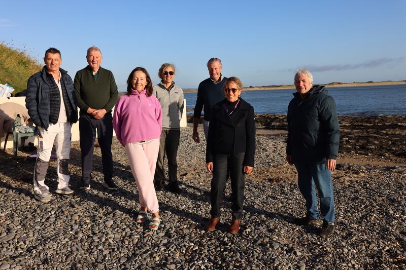 Malahide sea swimmers Dave Tuite, Joe Keeling, Anne Sullivan, Michele Owens, Liam Kennedy, Connie Dottino and Kevin Treacy. Photograph: Dara Mac Dónaill