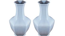 Chinese vases fetch a record €560,000 at Laois auction