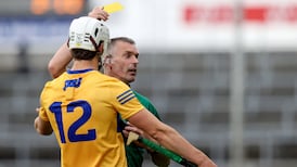 Former referee Barry Kelly wants hurling ‘red zone’ kept closer to goal