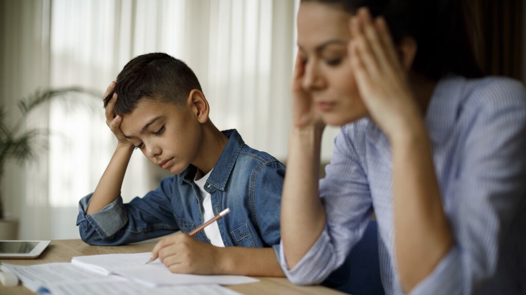 It’s very stressful trying to juggle my job with supervising homeschooling. Photograph: iStock