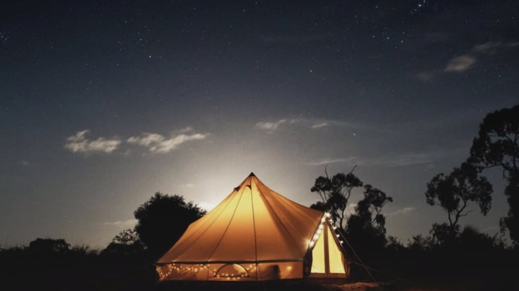 Summer Glamp just outside Wexford town
